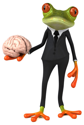 Frog-Brain Brain showing the science behind good web design and conversion rate optimisation
