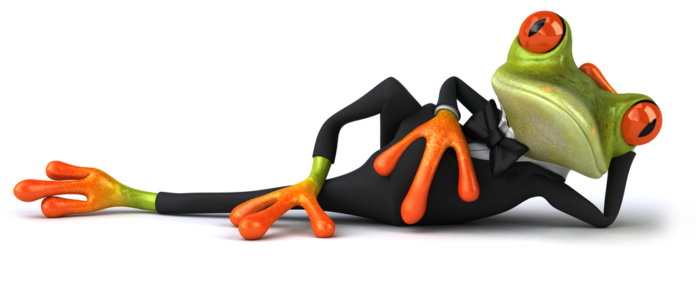 Frog-reclined-in-DJ Frog looking relaxed after selecting Melbourne based Blackstone Moss for web marketing and design