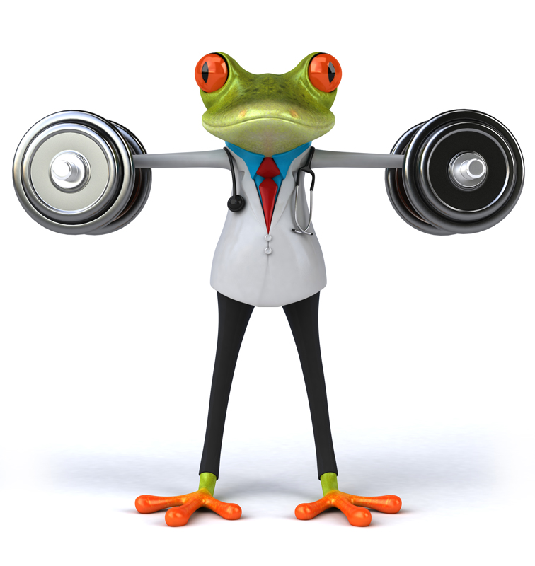frog-weights-dumbells Frog holding weight Melbourne based Blackstone Moss for web marketing and design