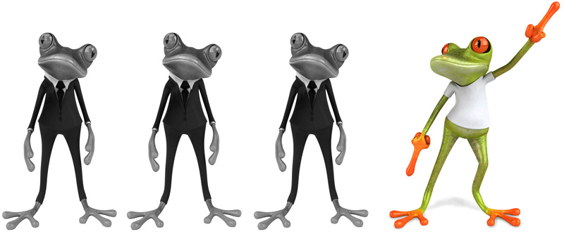 Frogs-blackstone-moss-is-different Frogs-showing that blackstone-moss-is-different kind of SEO company